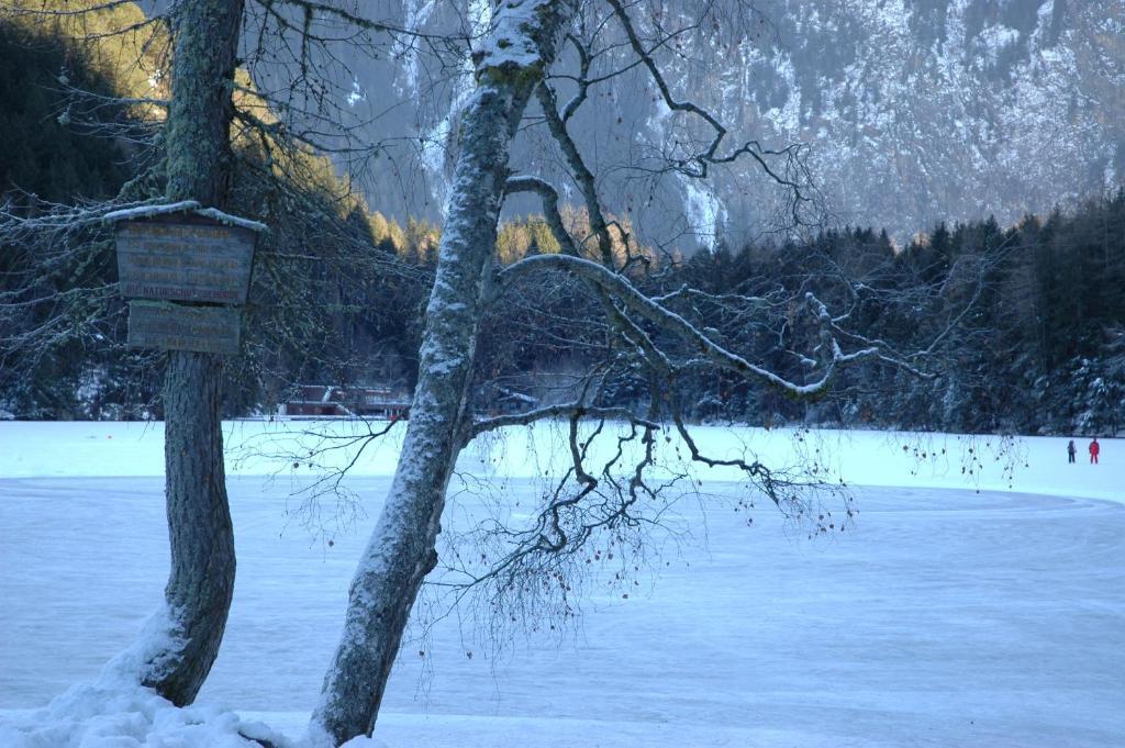 Hotel Haus Tirolerland Oetz Pokoj fotografie